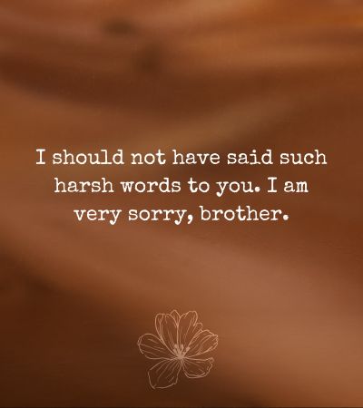 Apology Messages for Brother