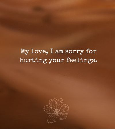 Apology for hurting you my love