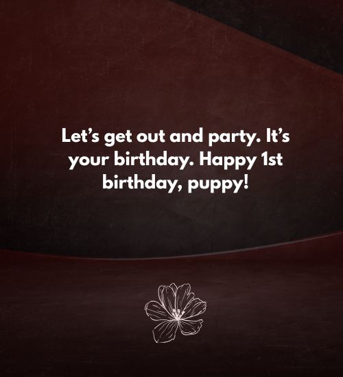 Birthday Message for a Dog Birthday Message for a Dog