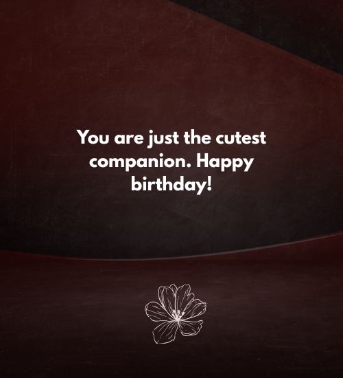 Birthday Wishes for Cats