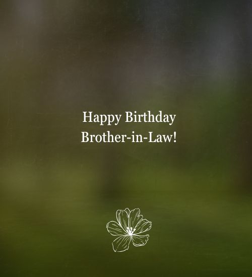 Brother in Law Birthday wishes Brother in Law Birthday wishes