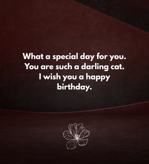 Cat Birthday Greetings