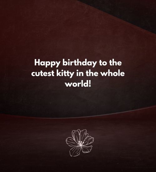 Cat Birthday Wishes