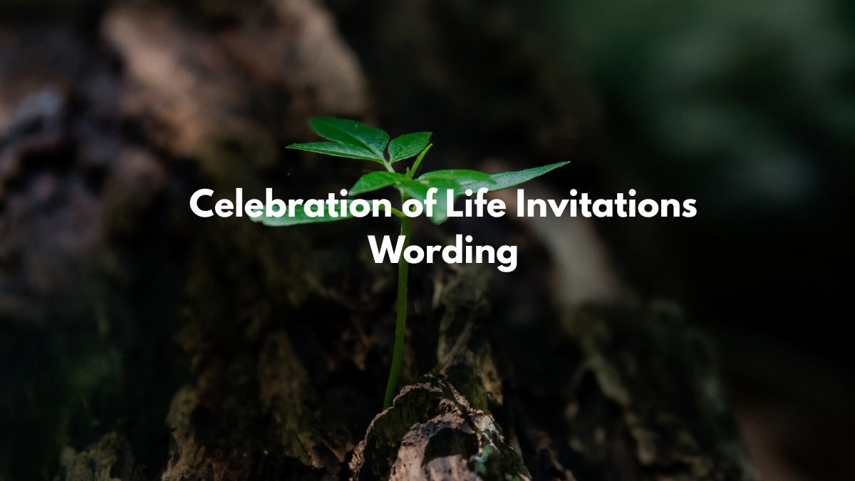 Celebration of Life Invitations Wording