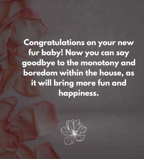 Congratulations Message for New Dog