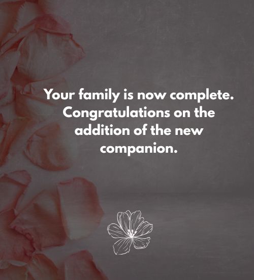 Congratulations New Puppy Messages