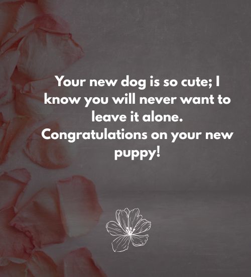 Congratulations on Your New Dog Messages