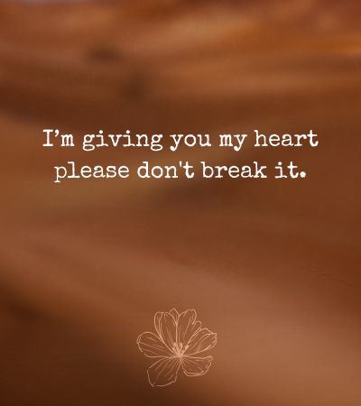 Don't Break My Heart Quotes