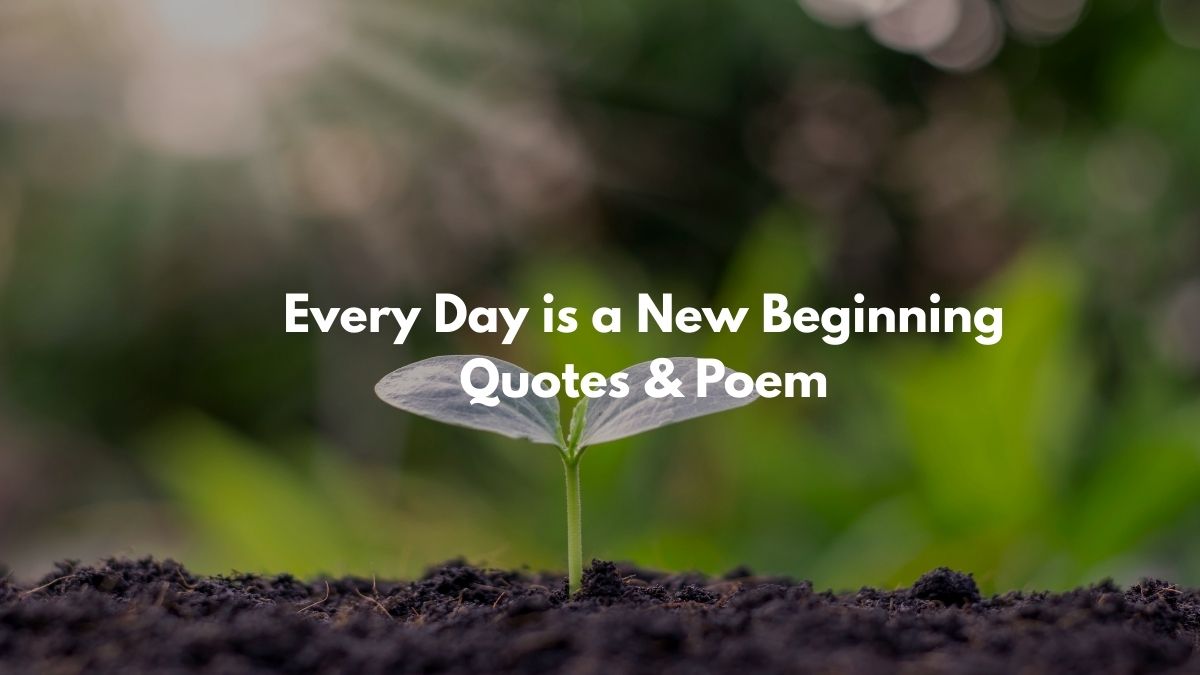 Every Day is a New Beginning