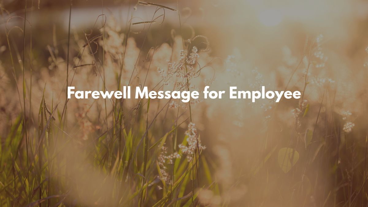 Farewell Message for Employee