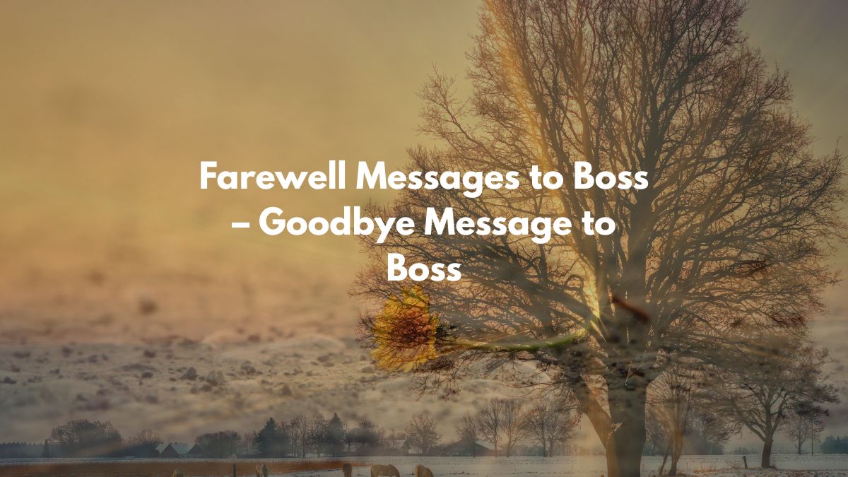 Farewell Messages to Boss
