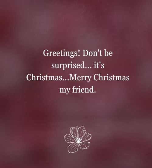 Funny Quotes for Christmas Greetings