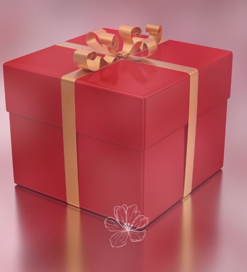Gift Ideas for Boyfriend