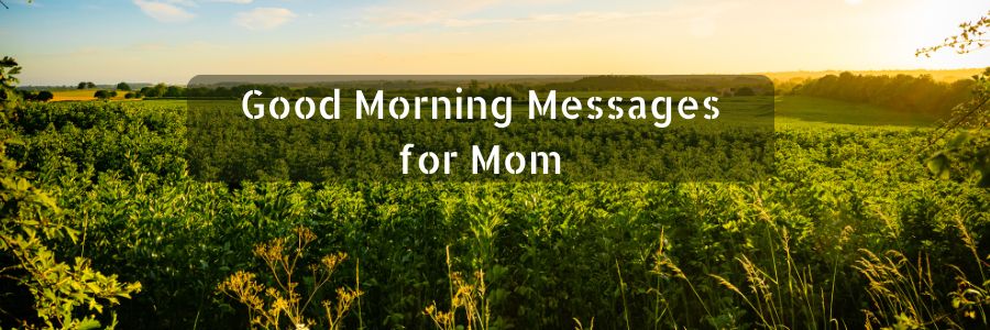 Good Morning Messages for Mother