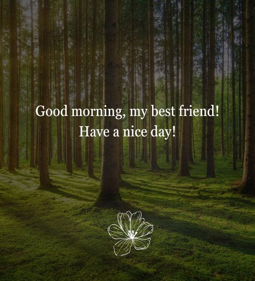 Good Morning SMS for Best Friend Good Morning SMS for Best Friend
