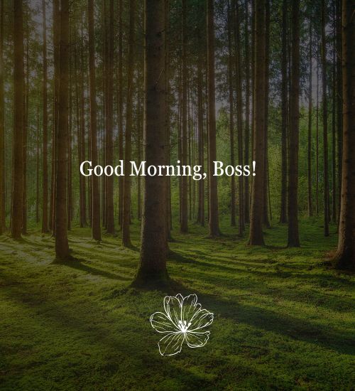 Good Morning Text to Boss Good Morning Text to Boss
