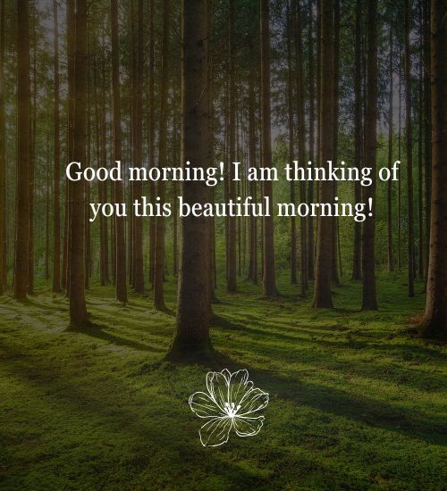 good morning quotes for girlfriend good morning quotes for girlfriend