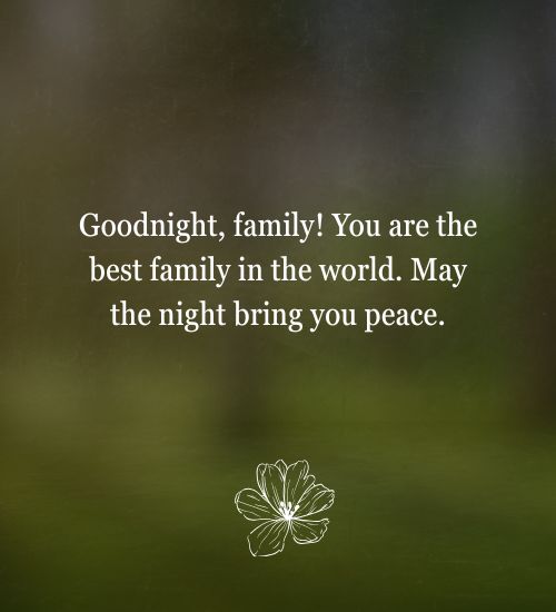 Good night quotes for family Good night quotes for family