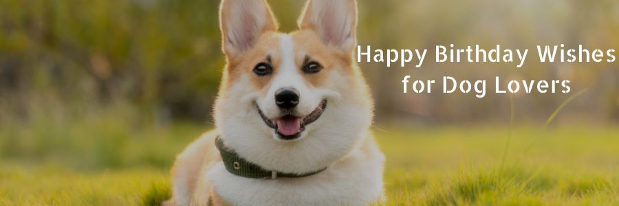 Happy Birthday Wishes for Dog Lovers