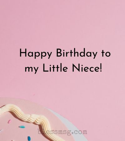 Happy Birthday Wishes to Niece Quotes