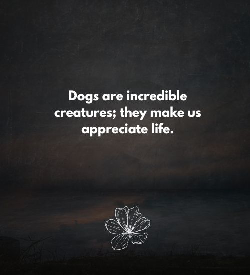 Happy National Dog Day Quotes Happy National Dog Day Quotes