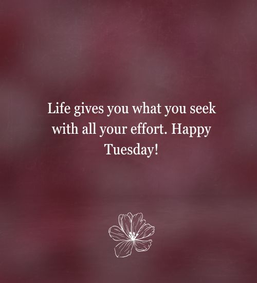 Happy Tuesday Messages