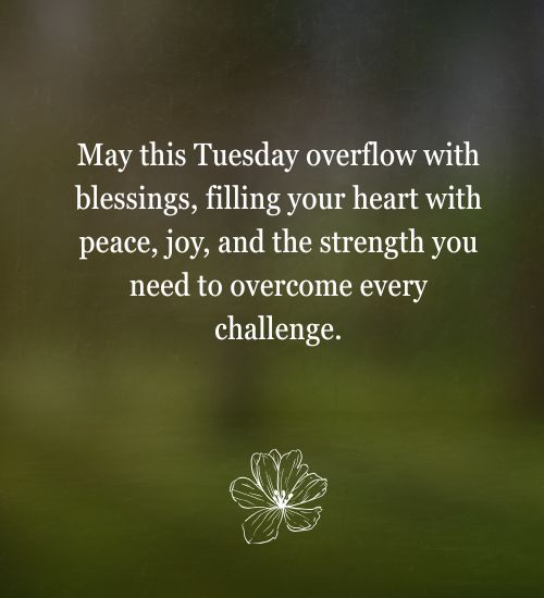 Happy Tuesday Quotes