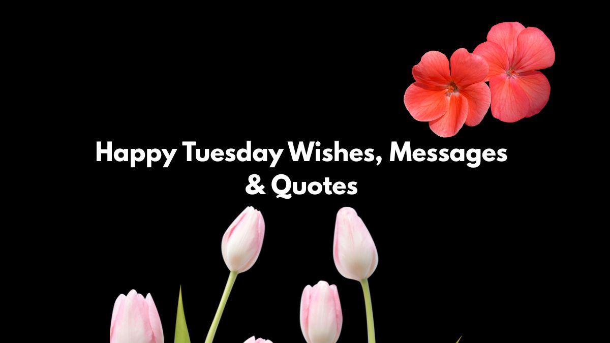Happy Tuesday Wishes, Messages & Quotes