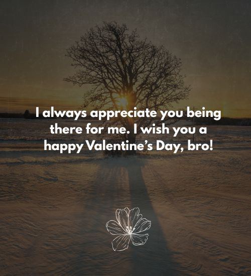 Happy Valentine’s Day Brother Quotes