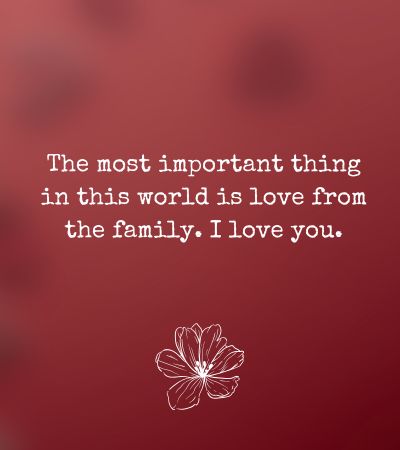 Happy Valentine's Day Family Quotes