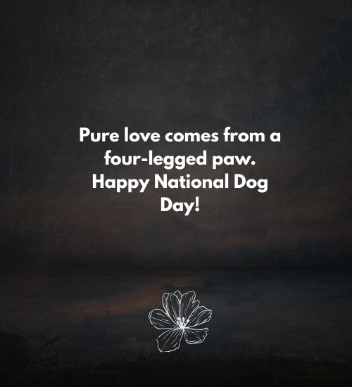 Happy national dog day Happy national dog day