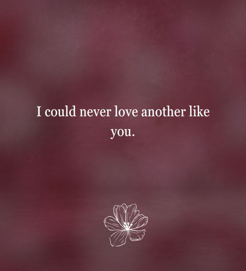 I Could Never Love Another Like You