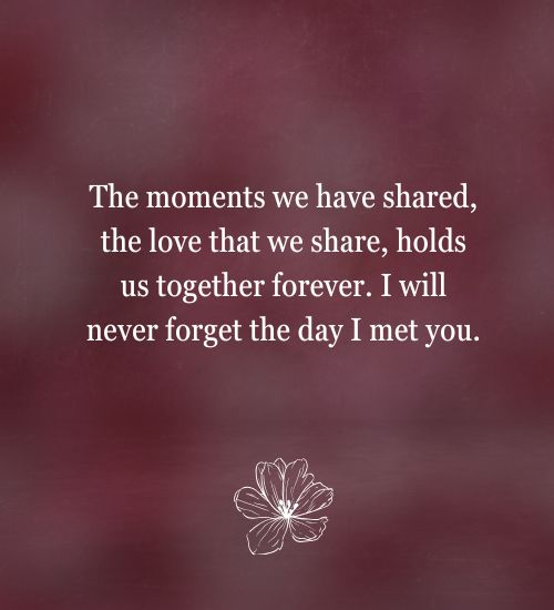 I Will Never Forget The Day I Met You Quotes