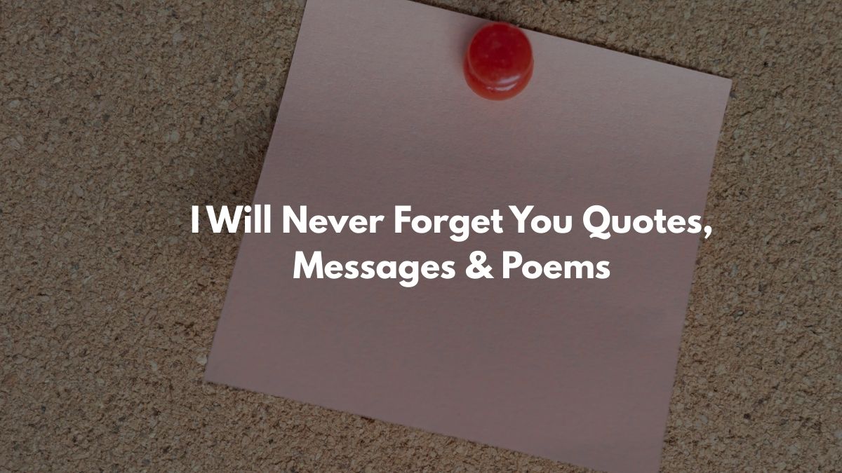 I Will Never Forget You Quotes, Messages & Poems