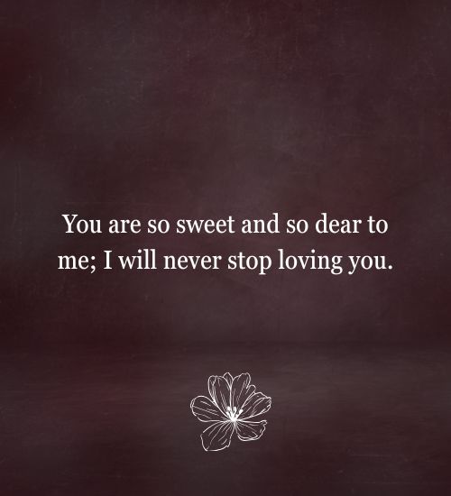 I Will Never Stop Loving You Quotes for Him or Her