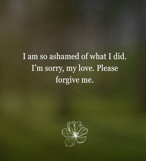 I'm Sorry Text Messages for Wife