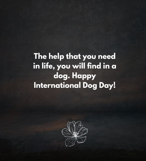 International Dog Day Quotes International Dog Day Quotes