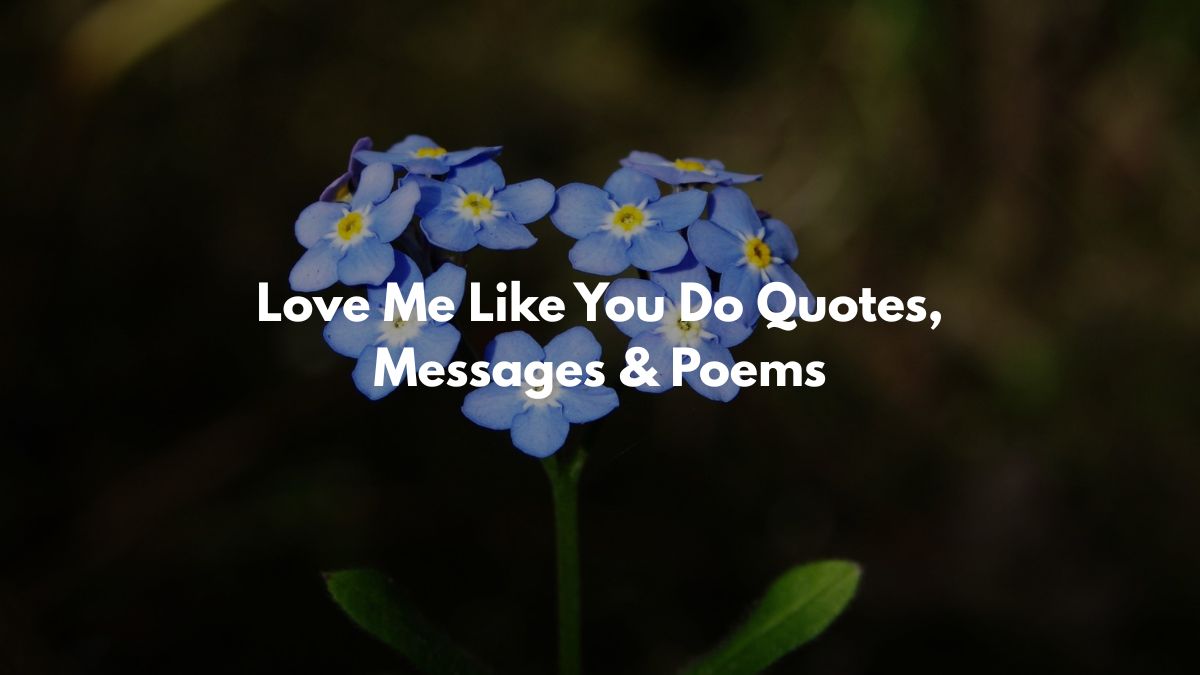 Love Me Like You Do Quotes, Messages & Poems