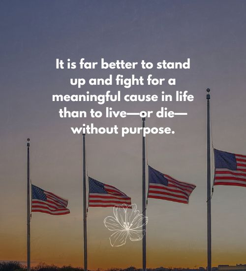 Memorial Day Holiday Images
