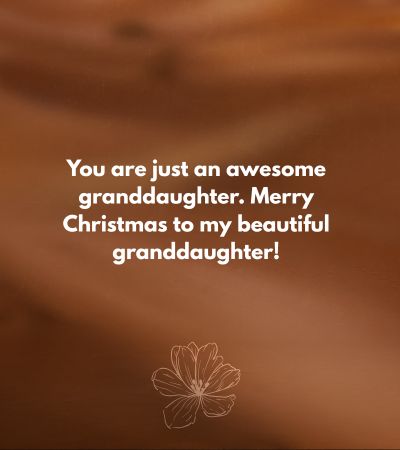 Merry Christmas Granddaughter