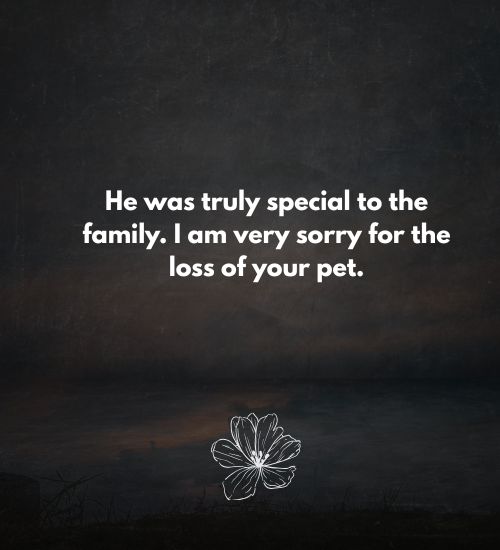 Pet Sympathy Messages