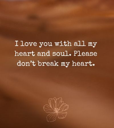 Please Don't Break My Heart Message