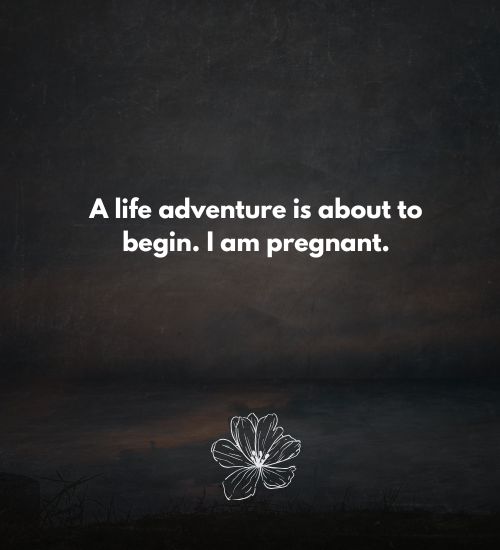 Pregnancy Announcement Quotes