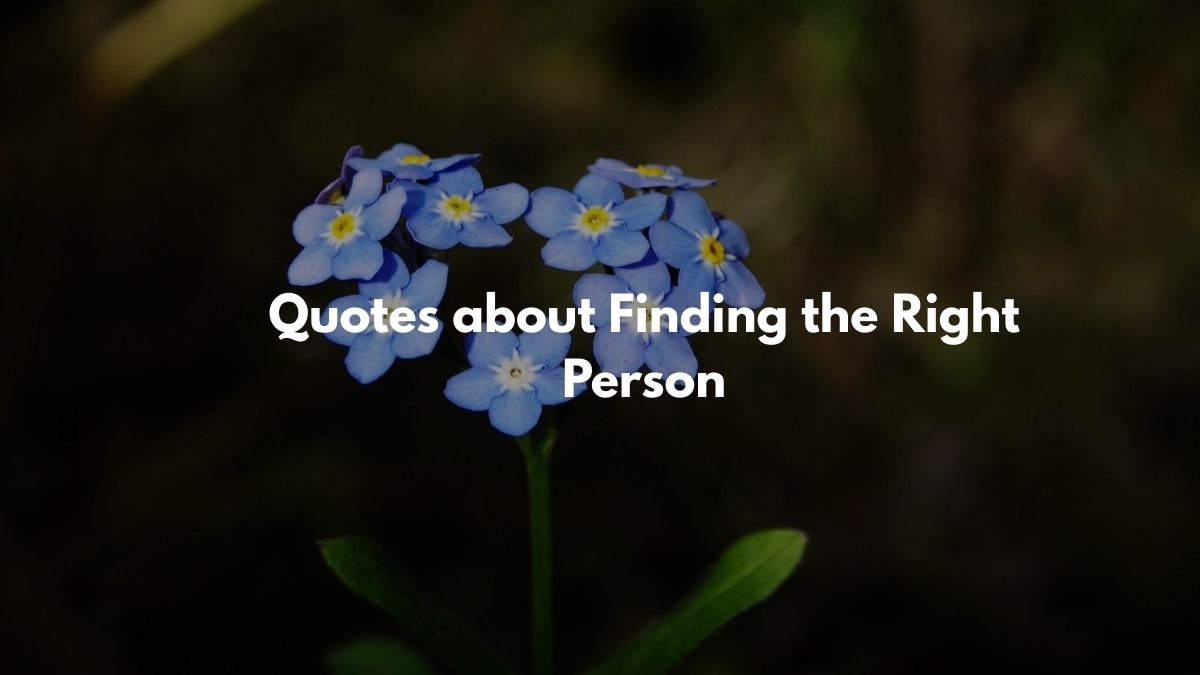 Quotes about Finding the Right Person