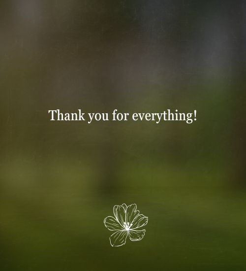 Short Thank You Messages Short Thank You Messages