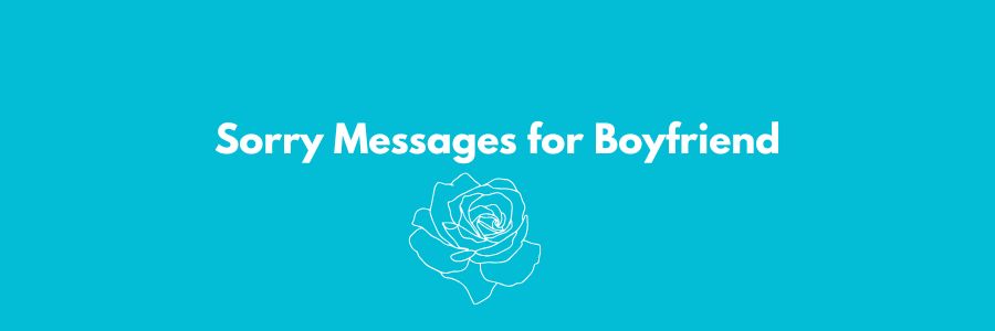 Sorry Messages for Boyfriend
