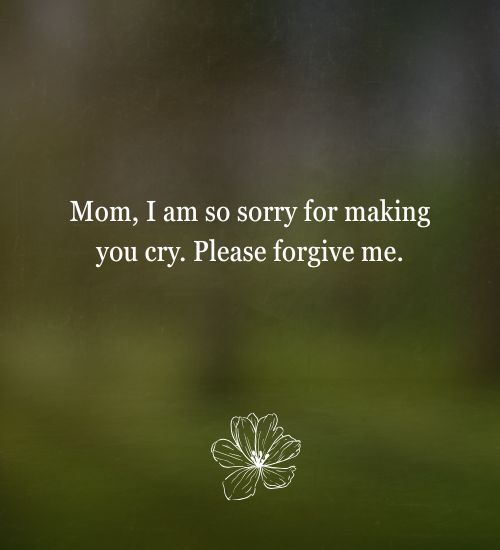 Sorry Messages for Mom from Son Sorry Messages for Mom from Son