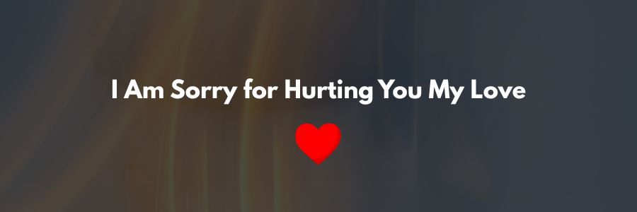 I Am Sorry for Hurting You My Love