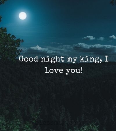 Sweet good night messages for boyfriend