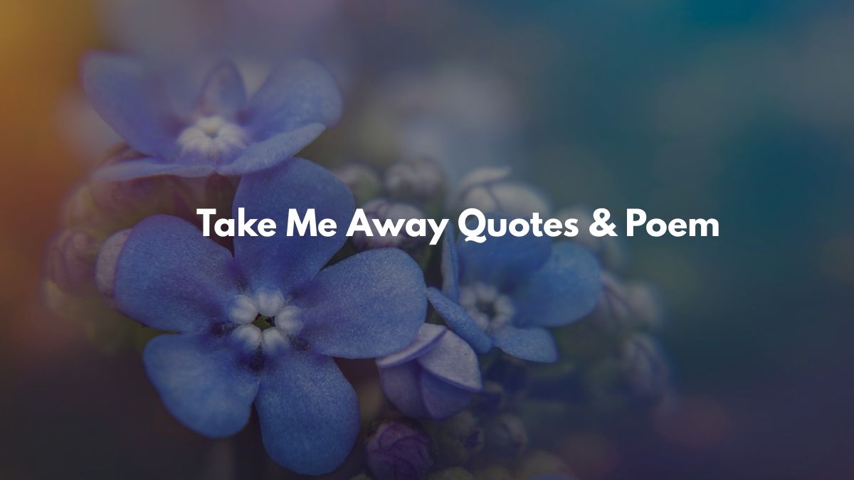 Take Me Away Quotes & Poem